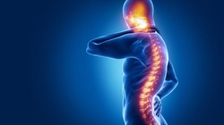 spinal cord.jpg