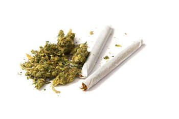 marijuana.jpg