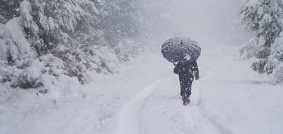winter.jpg