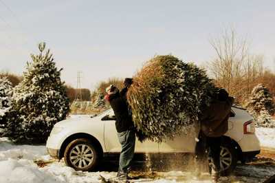 christmas tree on car.jpg